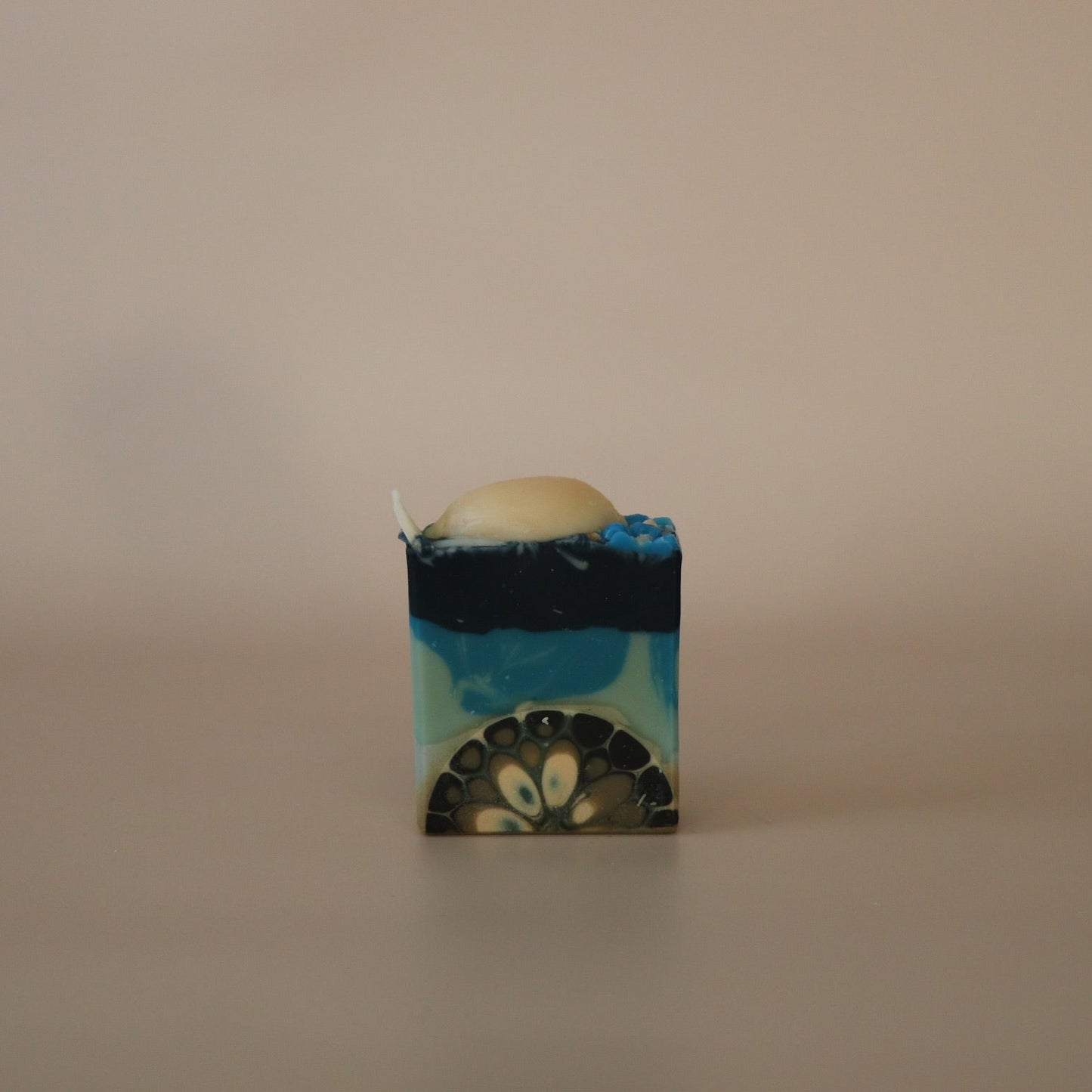Verbena⊹