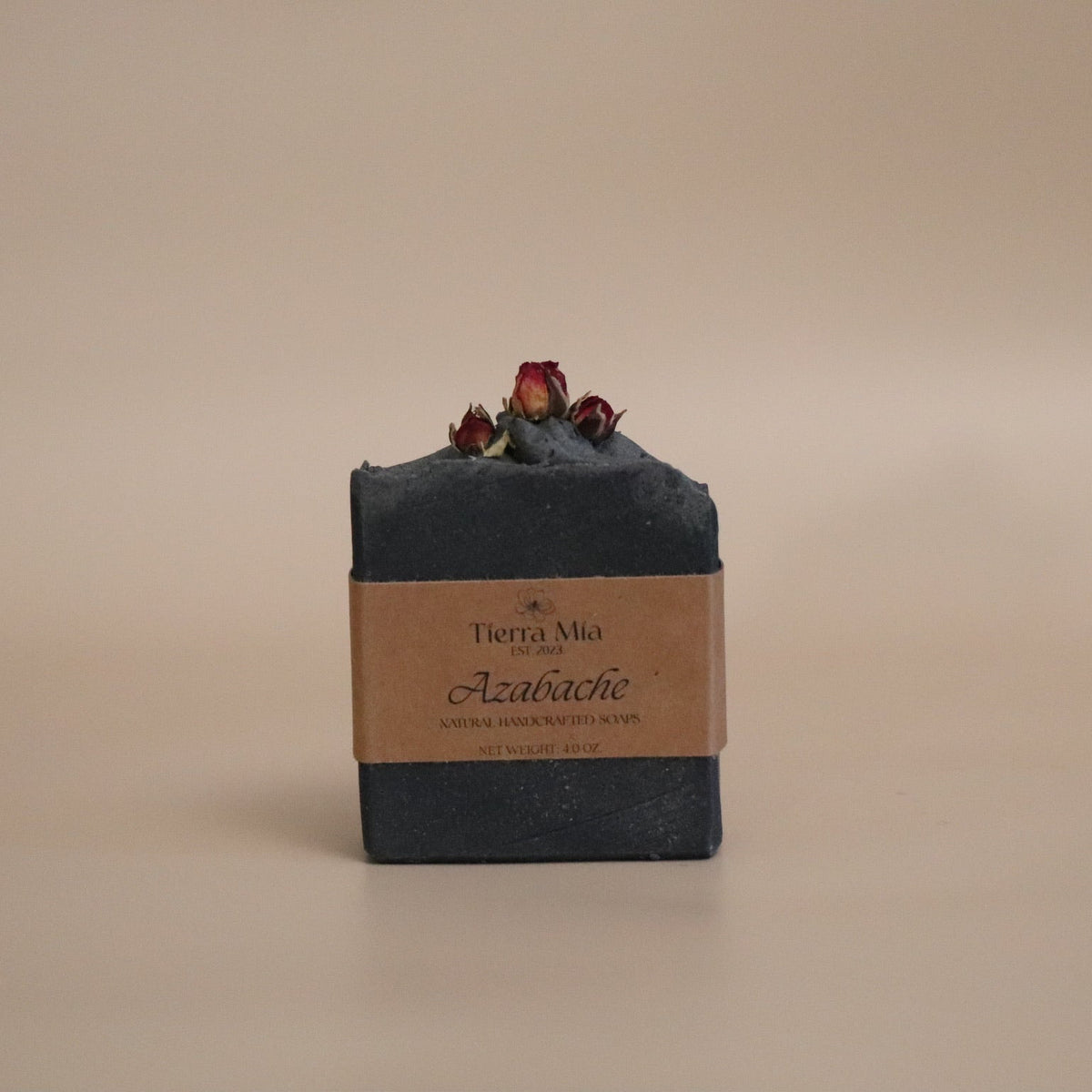 Azabache ⊹