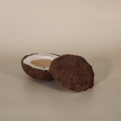 Coco⊹